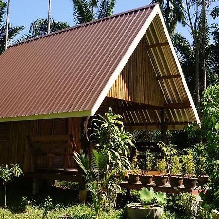 Khao Sok Jungle Resort Khao Sok National Park Bilik gambar