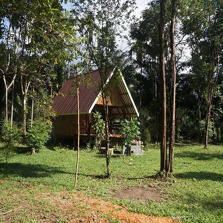 Khao Sok Jungle Resort Khao Sok National Park Luaran gambar