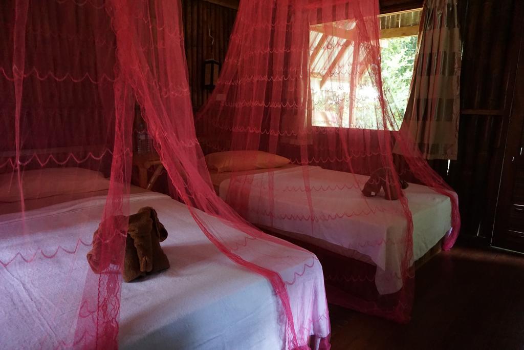 Khao Sok Jungle Resort Khao Sok National Park Bilik gambar