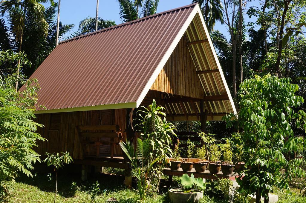 Khao Sok Jungle Resort Khao Sok National Park Bilik gambar