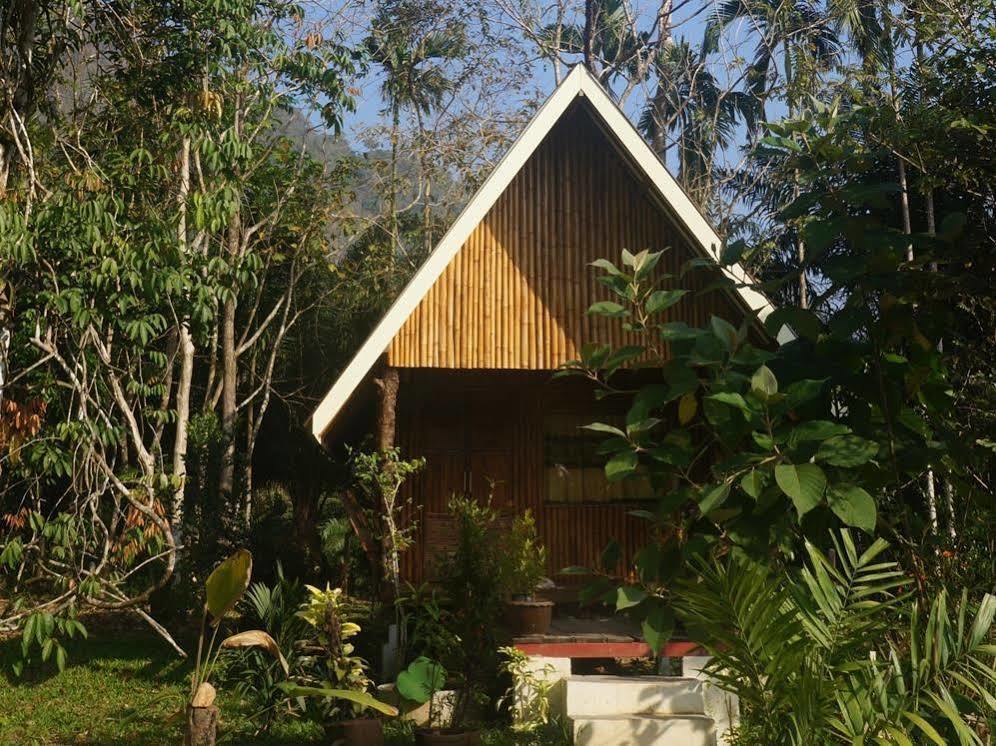 Khao Sok Jungle Resort Khao Sok National Park Luaran gambar