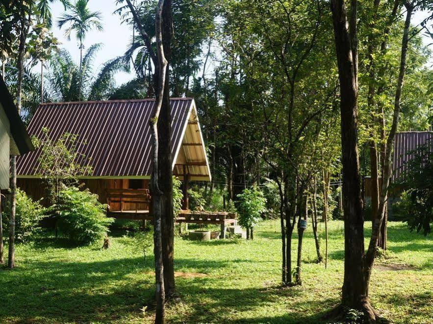 Khao Sok Jungle Resort Khao Sok National Park Luaran gambar