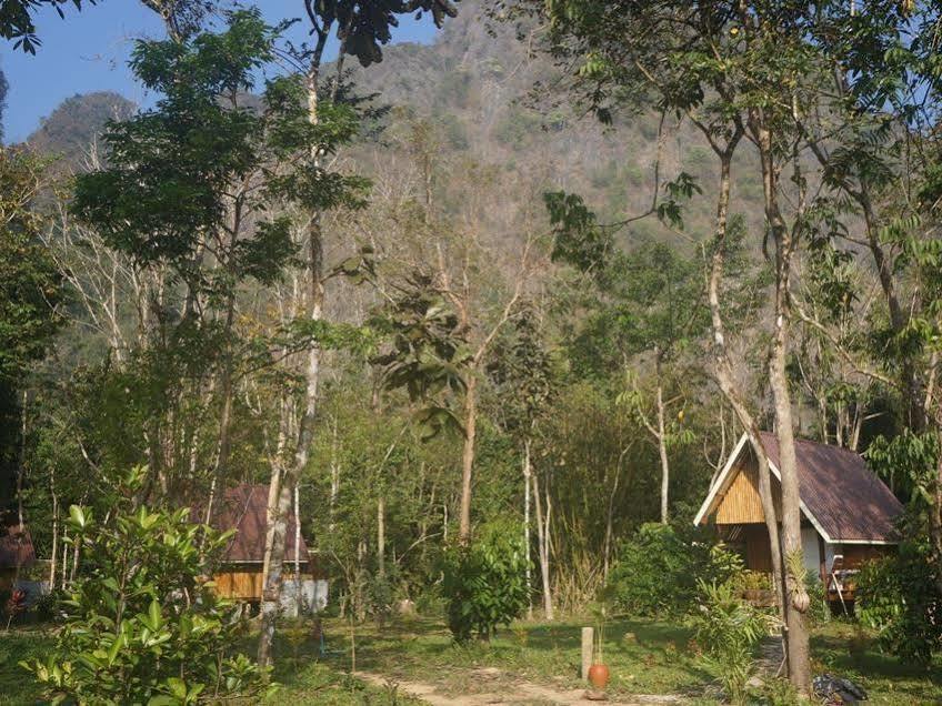 Khao Sok Jungle Resort Khao Sok National Park Luaran gambar