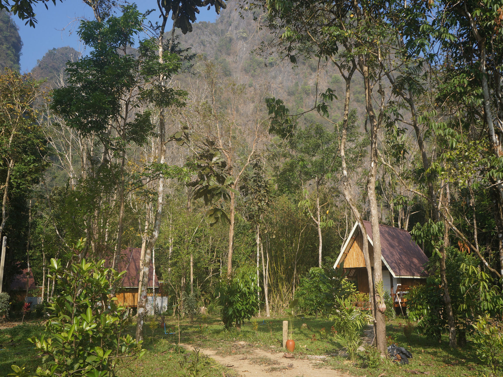 Khao Sok Jungle Resort Khao Sok National Park Luaran gambar