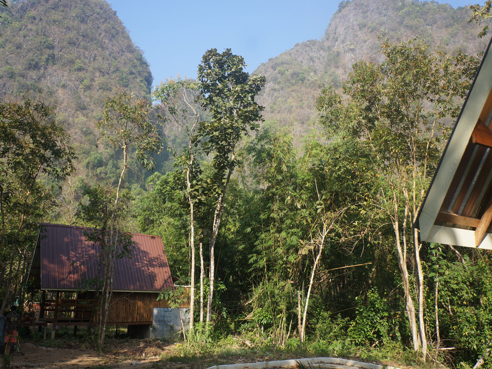 Khao Sok Jungle Resort Khao Sok National Park Luaran gambar